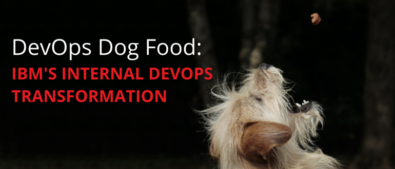 IBM's Internal DevOps Transformation