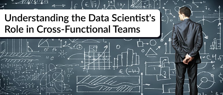 Understanding the Data Scientist’s Role in Cross-Functional Teams