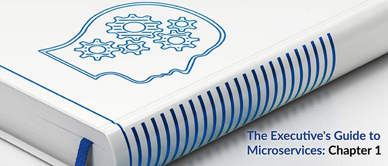The Executive’s Guide to Microservices: Chapter 1