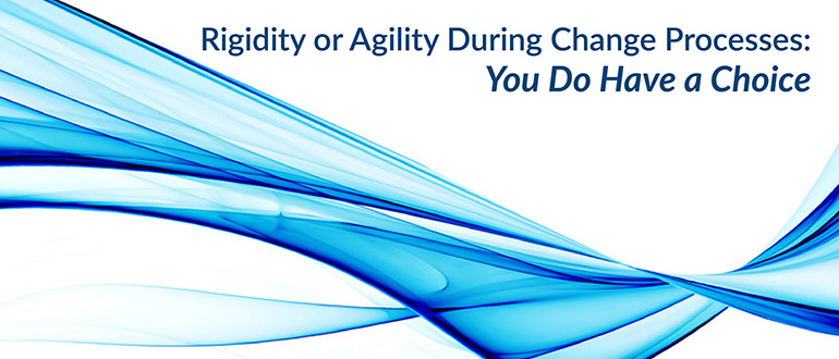 Rigidity or Agility During Change Processes: You Do Have a Choice