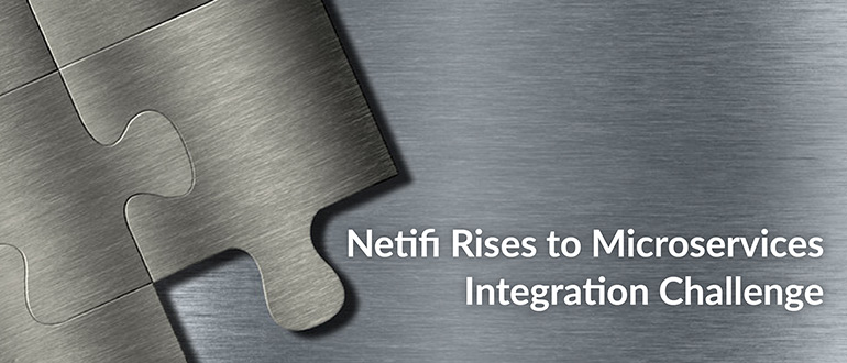 Netifi Rises to Microservices Integration Challenge