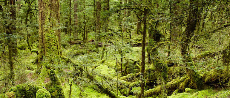 Live From JFrog SwampUP 2021 – An Accelerated World Requires Accelerated Delivery